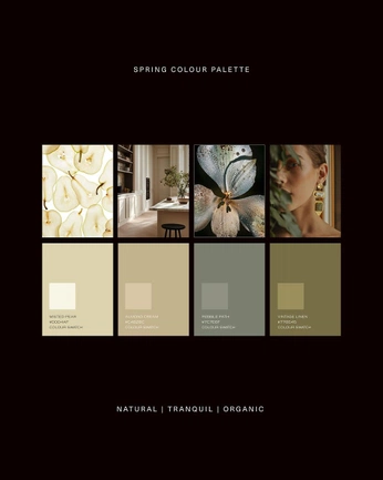 A cover of "Inspirit Feed Inspo" cluster. The owner is withgrace. The cluster consists of 2 elements.