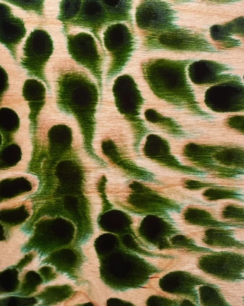 A cover of "ABSTRACT" cluster. The owner is 8ishtar. The cluster consists of 1 element.