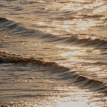 A cover of "nature" cluster. The owner is dejavu. The cluster consists of 41 elements.