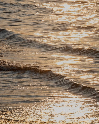 A cover of "Giver" cluster. The owner is florenceross. The cluster consists of 52 elements.