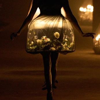 A cover of "Night Light" cluster. The owner is ellew. The cluster description is "Light in the dark". The cluster consists of 342 elements.