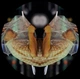 mcsymmetry