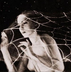 ･゜: *✧:* 𝕶𝖊𝖑𝖘𝖊𝖞 *:✧*:･゜ avatar