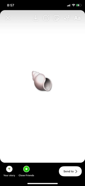 Anastasiia Borzova avatar