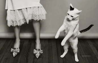 A cover of "Photo" cluster. The owner is mmmariela. The cluster consists of 3 elements.