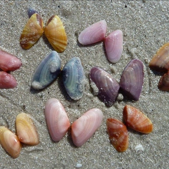 A cover of "о-о-о-о-о" cluster. The owner is ksenichka. The cluster consists of 112 elements.