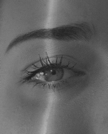 A cover of "Lifestyle" cluster. The owner is anrz.studio. The cluster consists of 5 elements.