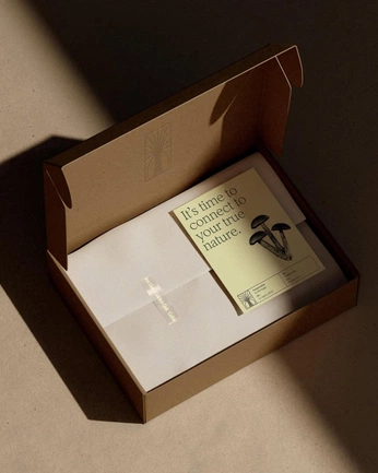 A cover of "MEXTRA - 25" cluster. The owner is keithp. The cluster consists of 2 elements.