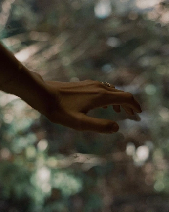 A cover of "Feelings" cluster. The owner is avrisha. The cluster consists of 17 elements.