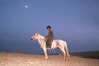 A cover of "Gio" cluster. The owner is kellyclement. The cluster consists of 1 element.