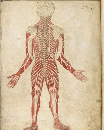 A cover of "Dibujo" cluster. The owner is 4mp1lau. The cluster consists of 4 elements.