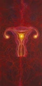 Cover of Uterus cluster