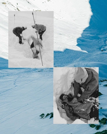 A cover of "SNOW" cluster. The owner is stfloats. The cluster consists of 8 elements.