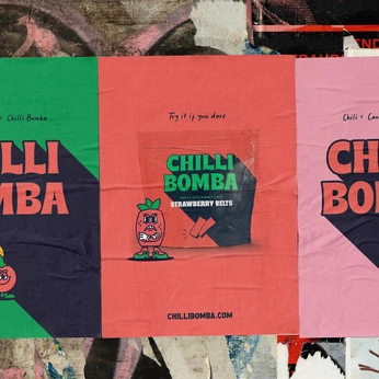 A cover of "Diplom Poster" cluster. The owner is emy0650. The cluster consists of 11 elements.