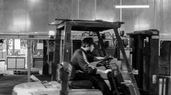 A cover of "Ox" cluster. The owner is tannergreen. The cluster consists of 30 elements.