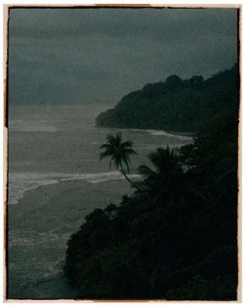 A cover of "tropical aura" cluster. The owner is seaparadis. The cluster consists of 1 element.