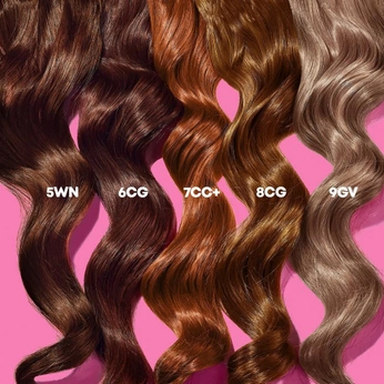 A cover of "MATRIX" cluster. The owner is sarah2castro. The cluster consists of 21 elements.