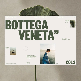 A cover of "Bottega Veneta" cluster. The owner is michaelaberd. The cluster consists of 19 elements.