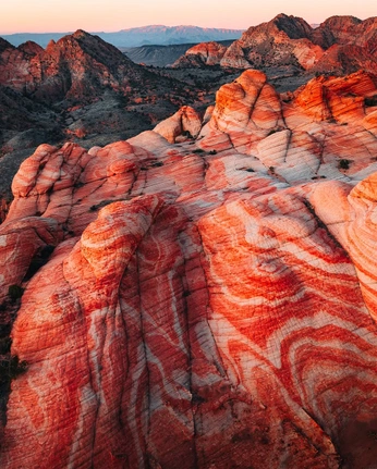 A cover of "Desert collection" cluster. The owner is cutbyiruz. The cluster consists of 4 elements.