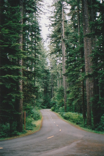 A cover of "move me" cluster. The owner is hellboundtrain. The cluster consists of 9 elements.