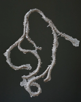 A cover of "Elements" cluster. The owner is aidmaccc. The cluster consists of 21 elements.