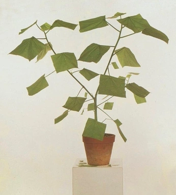 A cover of "just a mood" cluster. The owner is sepath. The cluster consists of 13 elements.