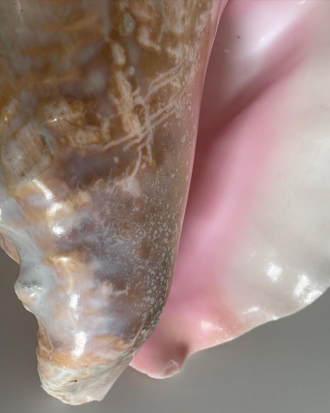 An Instagram carousel post added by maaaaaasshhaa on May 10, 2024. The author is @miara.vintage.