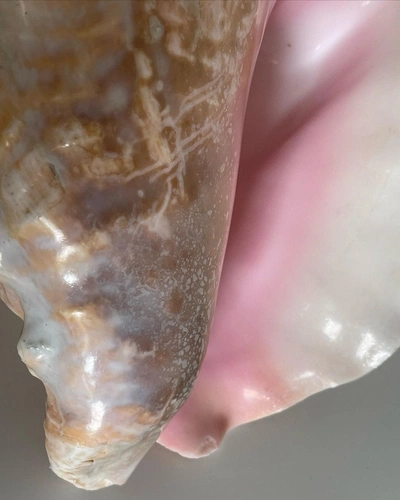 An Instagram carousel post added by maaaaaasshhaa on May 10, 2024. The author is @miara.vintage.