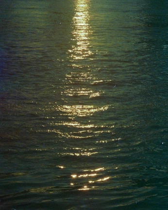 A cover of "Deep sea" cluster. The owner is honestlyavery. The cluster consists of 7 elements.