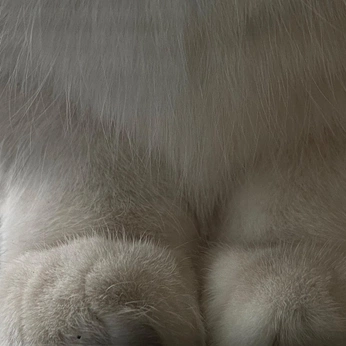 A cover of "222" cluster. The owner is duua. The cluster consists of 61 elements.