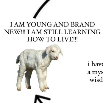 A cover of "tehe" cluster. The owner is kelsey. The cluster consists of 63 elements.