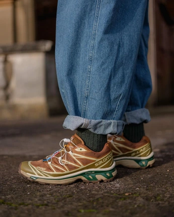 A cover of "Salomon" cluster. The owner is david.fercia. The cluster consists of 1 element.