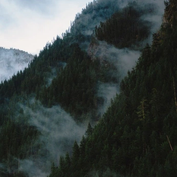 A cover of "scenes" cluster. The owner is cristianrus. The cluster consists of 22 elements.