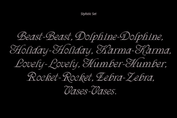 A cover of "type shit" cluster. The owner is cuspofcami. The cluster consists of 15 elements.