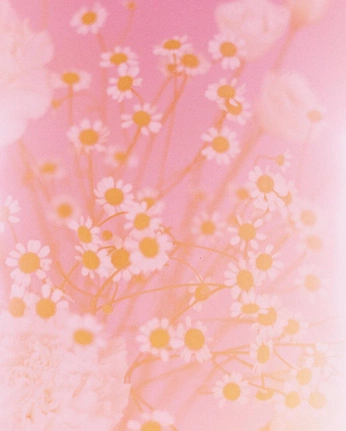 A cover of "Flowers" cluster. The owner is susie. The cluster consists of 4 elements.