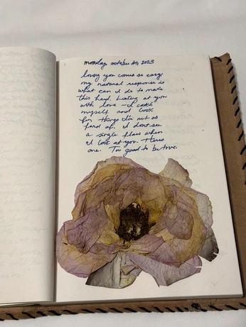 A cover of "portfolio" cluster. The owner is ionss. The cluster consists of 3 elements.