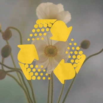 A cover of "still - ig comp" cluster. The owner is issybea. The cluster consists of 73 elements.