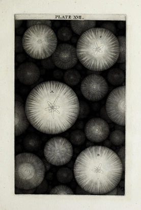 “A perspective View of the visible Creation, including the regions around our Sun, Syrius and Rigel. The rest is a promiscuous Disposition of all the Variety of other Systems within our finite Vision, as they are supposed to be posited behind one another, in the infinite Space, and round every visible Star.”
