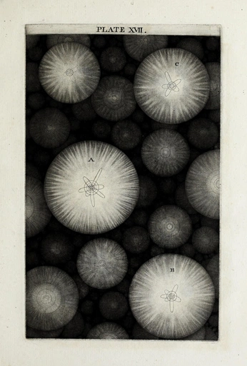 A cover of "vintage illustrations" cluster. The owner is junemoth.io. The cluster consists of 24 elements.