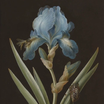 A cover of "trees + flowers" cluster. The owner is linneaa. The cluster consists of 22 elements.