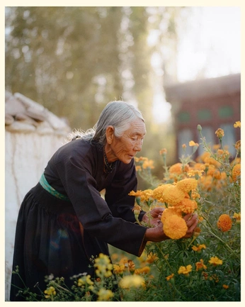 A cover of "green-ish" cluster. The owner is miuuuu. The cluster consists of 5 elements.