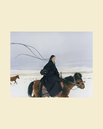 A cover of "project" cluster. The owner is hihhicamorri. The cluster consists of 2 elements.