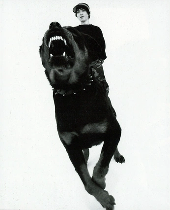 A cover of "animal" cluster. The owner is ssoyka. The cluster consists of 16 elements.