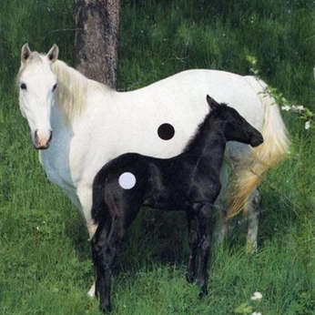 A cover of "ensoclip" cluster. The owner is beenaplasaa. The cluster consists of 68 elements.