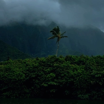 A cover of "calm" cluster. The owner is shifa467. The cluster consists of 13 elements.