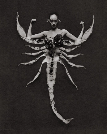 A cover of "Price of Unicorn Blood" cluster. The owner is hazelhawlik. The cluster description is "this is for my novel The Price of Unicorn Blood". The cluster consists of 142 elements.