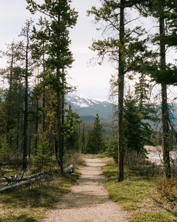 A cover of "Dream" cluster. The owner is eszterc. The cluster consists of 25 elements.