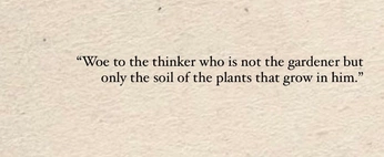 A cover of "Find your Ni(etz)che" cluster. The owner is lawll. The cluster consists of 7 elements.
