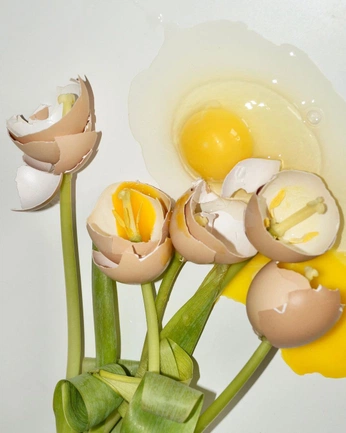 A cover of "prog fotografia" cluster. The owner is morrxp. The cluster consists of 4 elements.