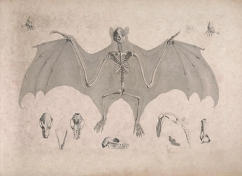 A cover of "Gothic" cluster. The owner is lovesloan. The cluster consists of 2 elements.